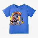 Little Maven 3pcs Tshirts