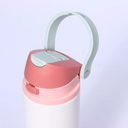 Owala Stainless Steel Bottle 