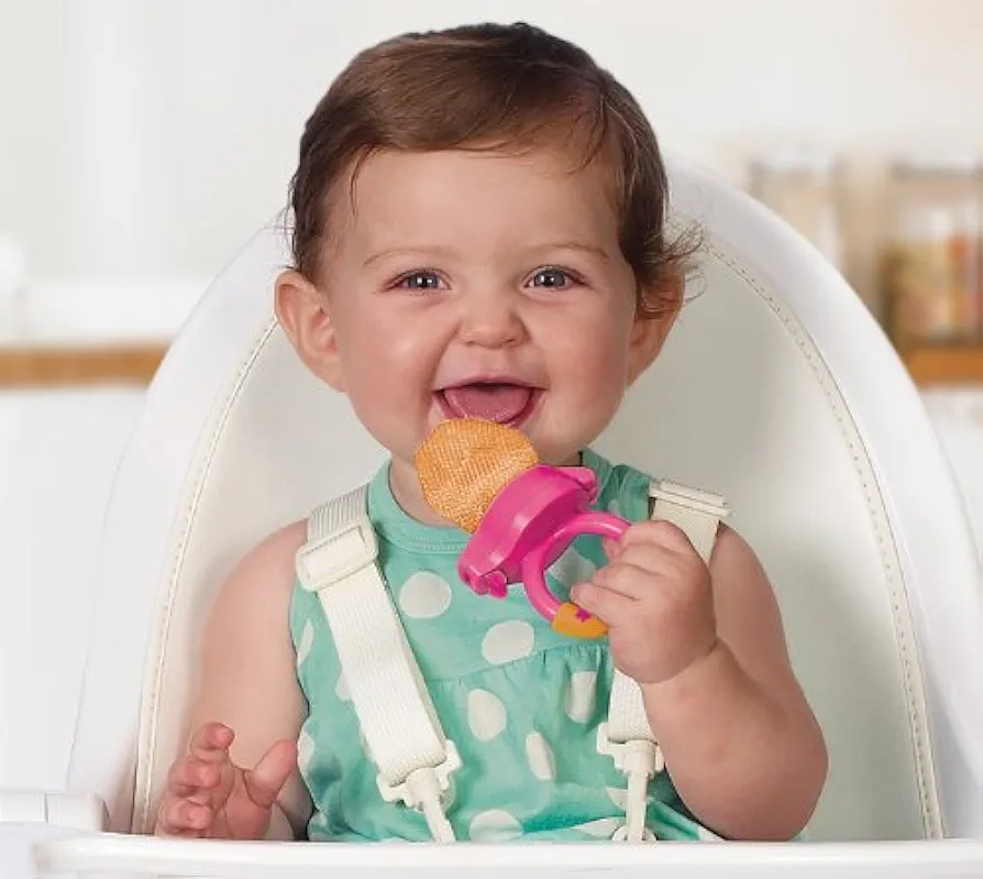 Munchkin Fresh Food Feeder 