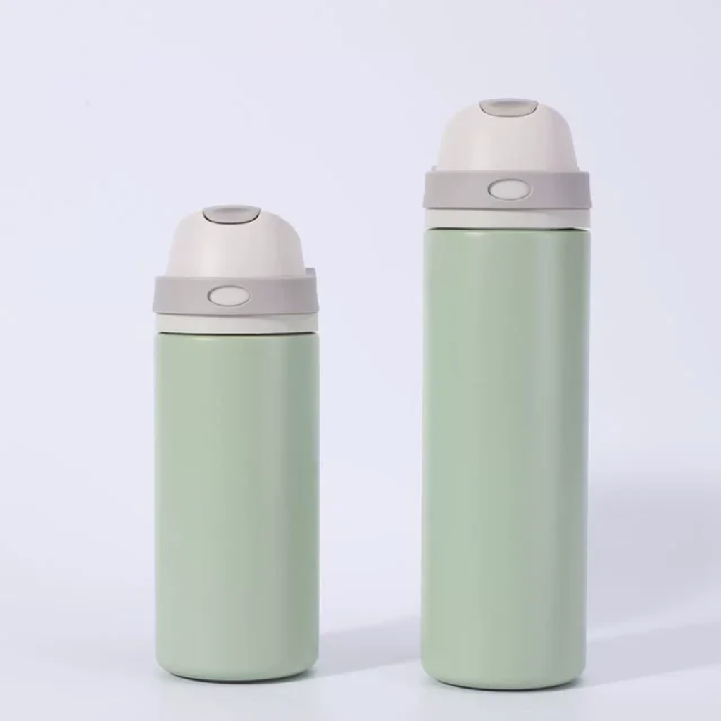 Owala Stainless Steel Bottle 