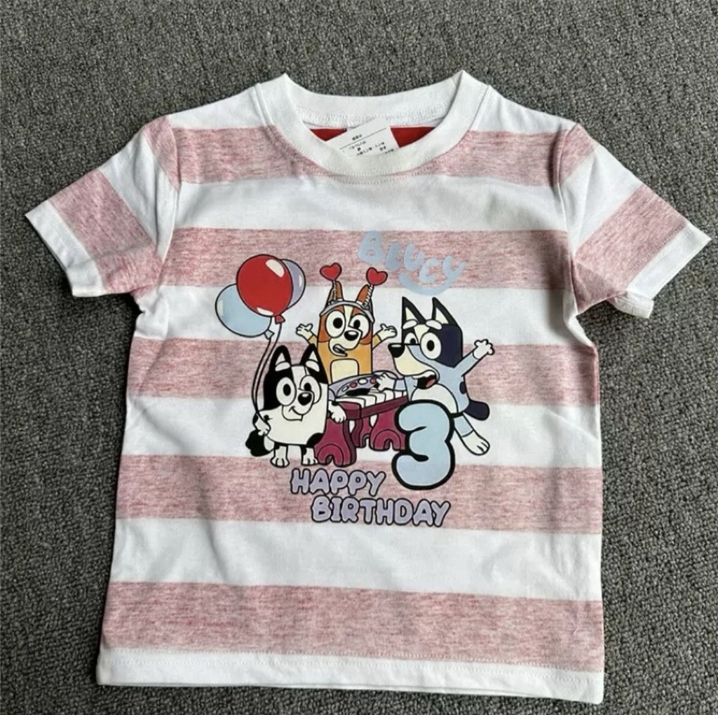 Next Character T-shirt (Bluey Happy Birthday)