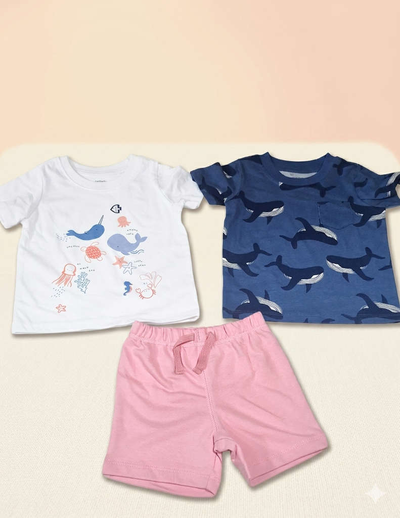 Carter's 3pcs Set Boy's (12m)
