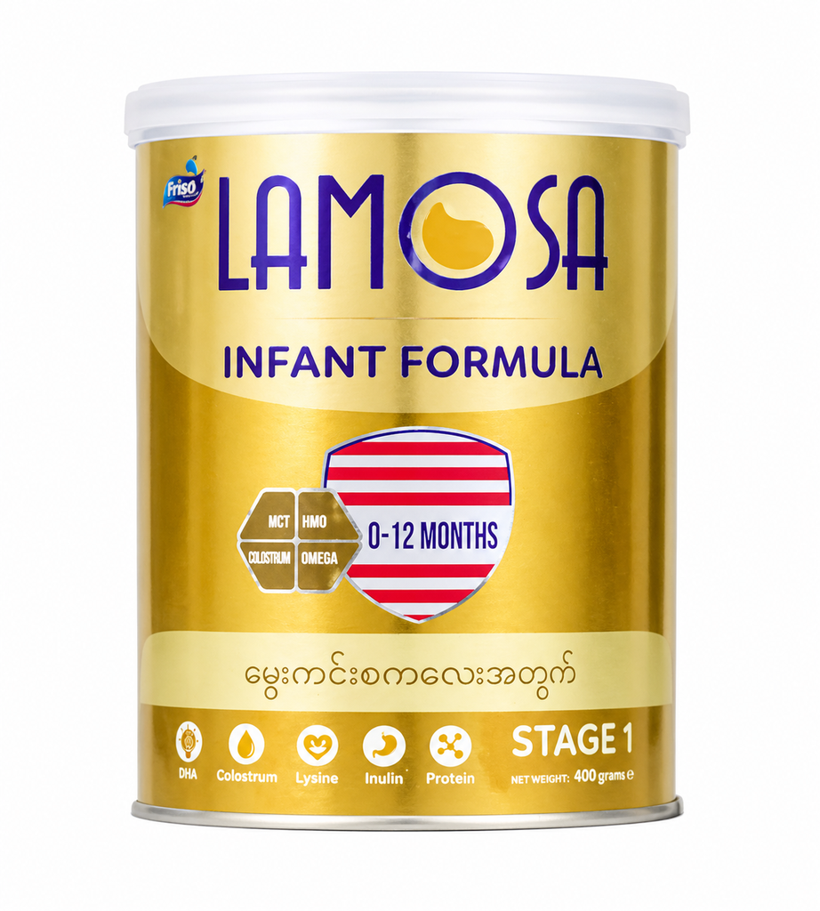 Lamosa Infant Formula 400g