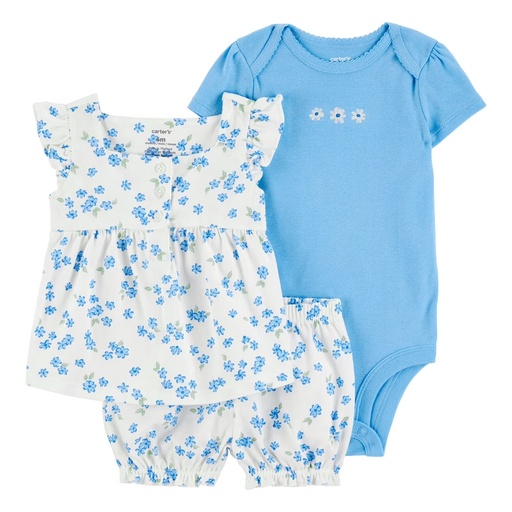 Carter’s Baby Girls 3- Piece Outfit Set