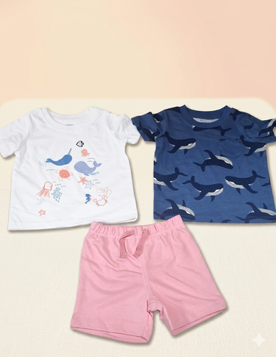 Carter's 3pcs Set Boy's (12m)