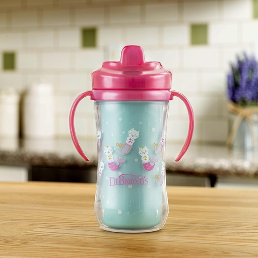 Dr Brown Milestone Insulated Sippy Hard Spout Cup